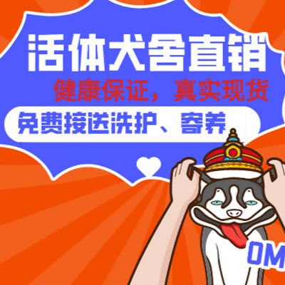 漫吉宠物生活馆（萌宠在售）(旧忠店):北京城区大兴区旧宫附近