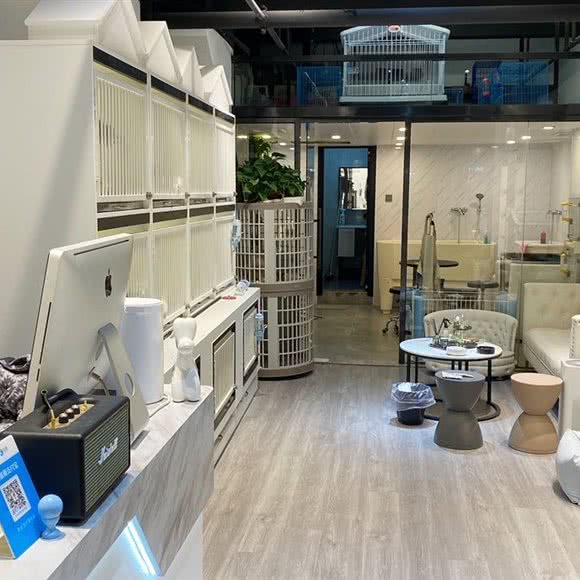 Clogo·pet高端私宠·美容SPA:厦门市思明区火车站附近