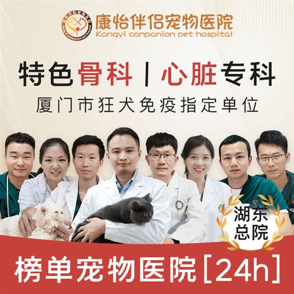 康怡伴侣宠物医院(24h犬猫医疗中心@湖东总院):厦门市思明区火车站附近