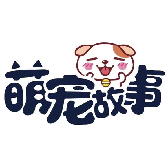 pet-story萌宠故事宠物店(旧宫店):北京城区大兴区旧宫附近