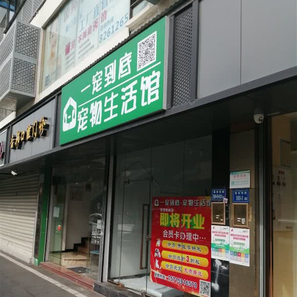 一宠到底宠物生活馆:厦门市思明区莲前西路附近