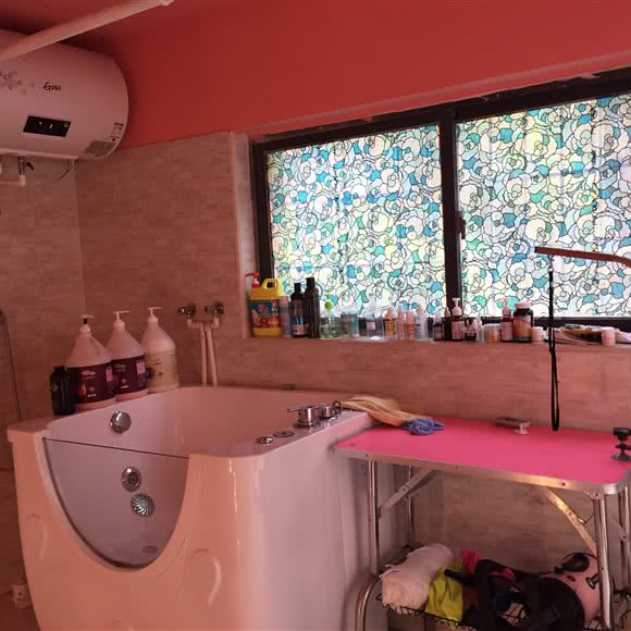 彩虹萌宠:厦门市海沧区海沧商业圈附近