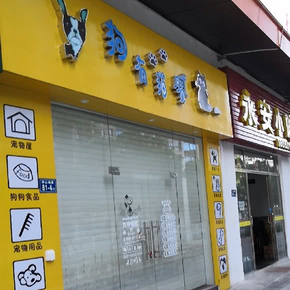 狗有猫腻:厦门市海沧区海沧商业圈附近