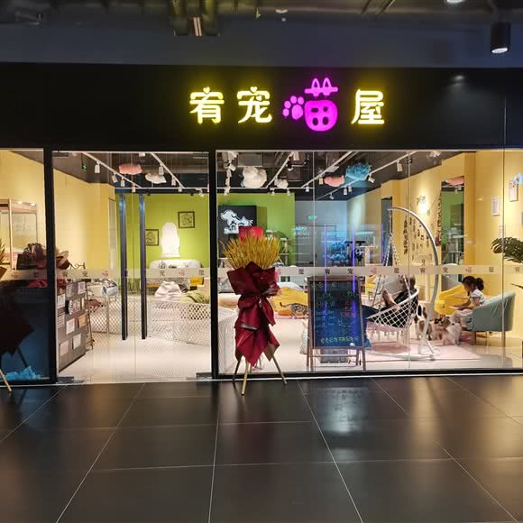 宥宠喵屋:北京城区大兴区旧宫附近