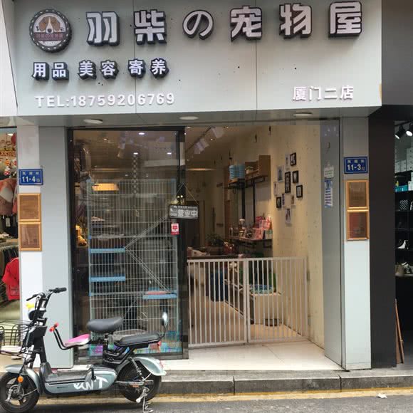 羽柴の宠物屋(厦门二店):厦门市湖里区东渡/国际邮轮中心附近