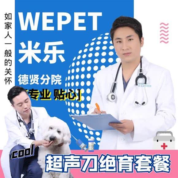 WEPET米乐动物医院(德贤分院):北京城区大兴区旧宫附近