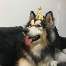 狗的笔记(金钟路店):厦门市湖里区高林/万达广场附近