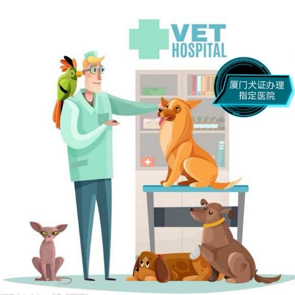 酷趣宠物医院:厦门市湖里区市行政服务中心/乐都汇附近
