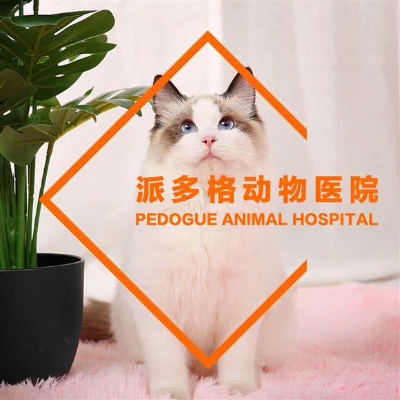 派多格动物医院(旧宫店):北京城区大兴区旧宫附近