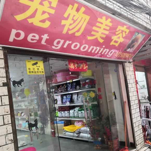 宠物美容:厦门市湖里区殿前附近