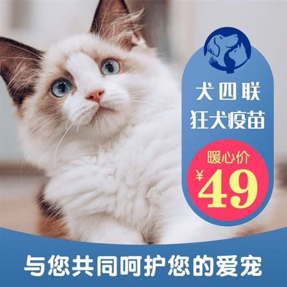 美迦康尔贝动物医院(旧宫店):北京城区大兴区旧宫附近