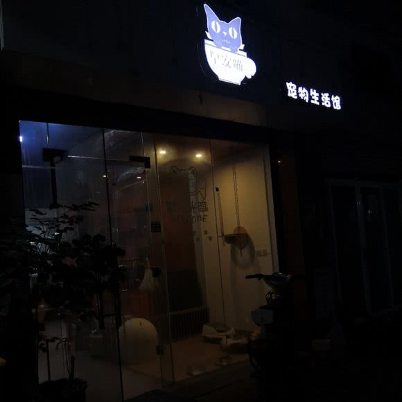 早安喵 宠物生活馆:厦门市湖里区蔡塘广场附近