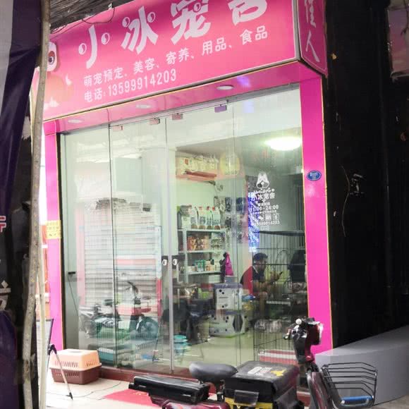 小冰宠物:厦门市湖里区金尚/祥店附近
