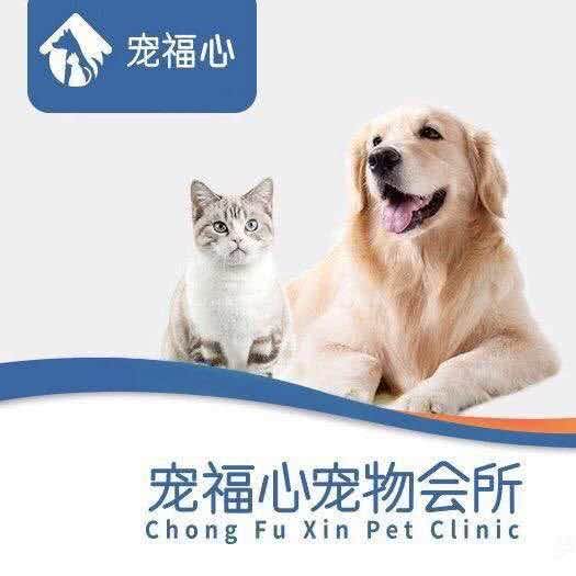 宠福心宠物会所(乌石浦分店):厦门市湖里区金尚/祥店附近