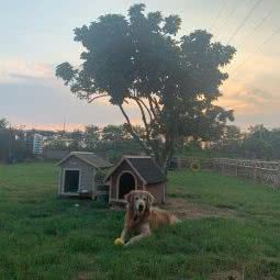 乐宝宠物(金湖路店):厦门市湖里区金尚/祥店附近