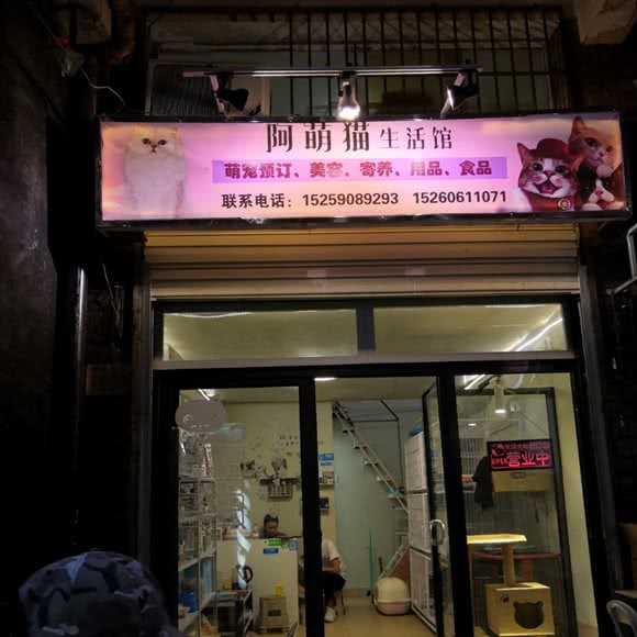 哈萌猫生活馆:厦门市湖里区金尚/祥店附近