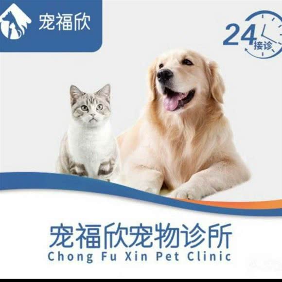 瑞泽·宠福欣宠物医院(金尚24h分院):厦门市湖里区金尚/祥店附近