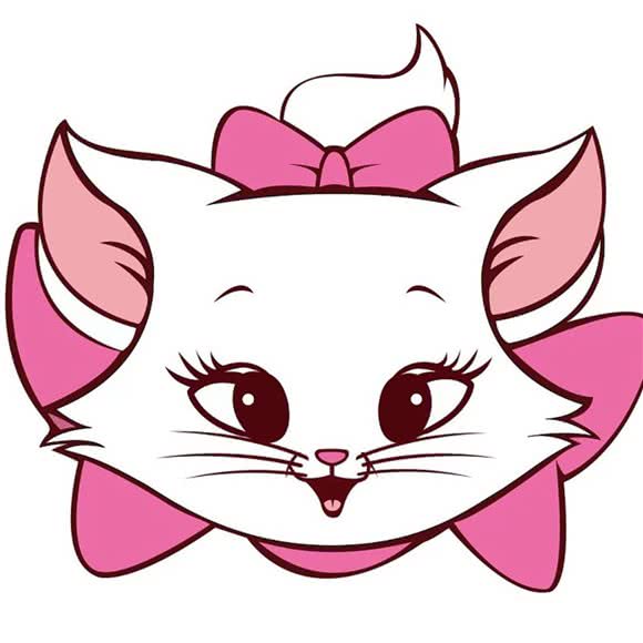 宠物喵(县后店):厦门市湖里区高崎机场附近