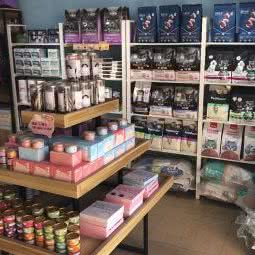 一凡宠物:厦门市湖里区高崎机场附近