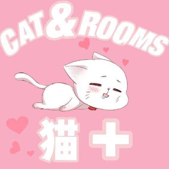 猫加宠物:厦门市湖里区高崎机场附近