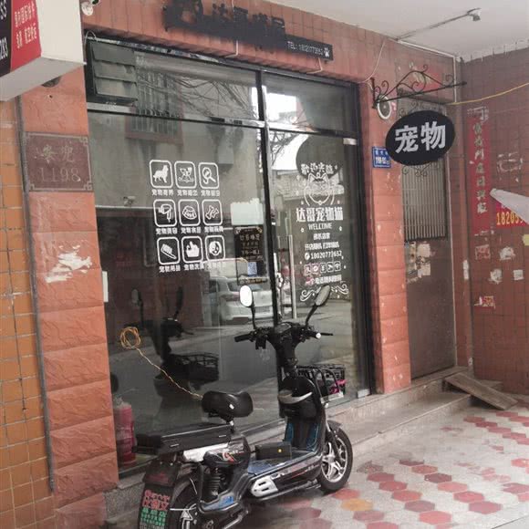 达哥猫屋:厦门市湖里区高崎机场附近