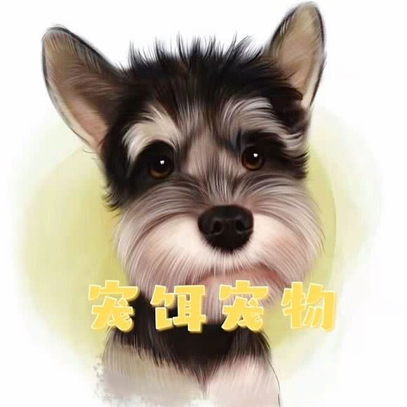 宠饵宠物店:厦门市湖里区泰和花园附近