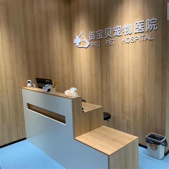 御宝贝宠物医院(吕岭分院):厦门市湖里区泰和花园附近
