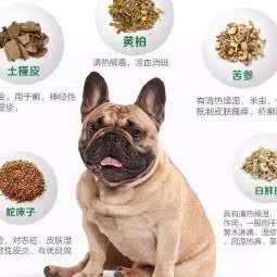 咕噜咕噜宠物美容店:厦门市湖里区马垅附近