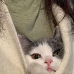 六只零售店·宠物生活馆:厦门市集美区石鼓路/集美学村附近