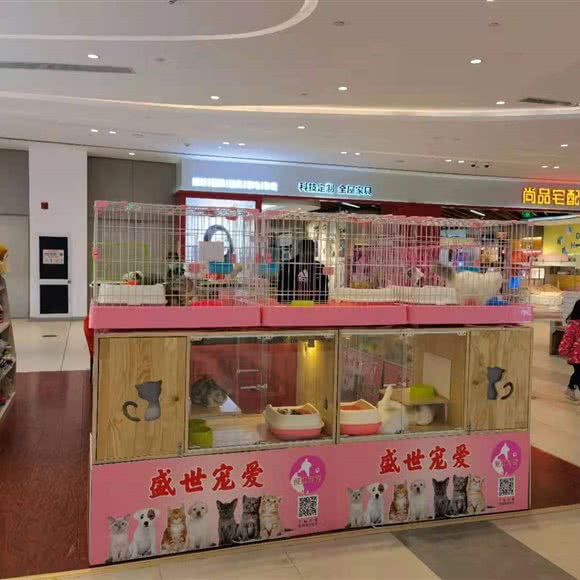 盛世宠物:北京城区大兴区庞各庄附近