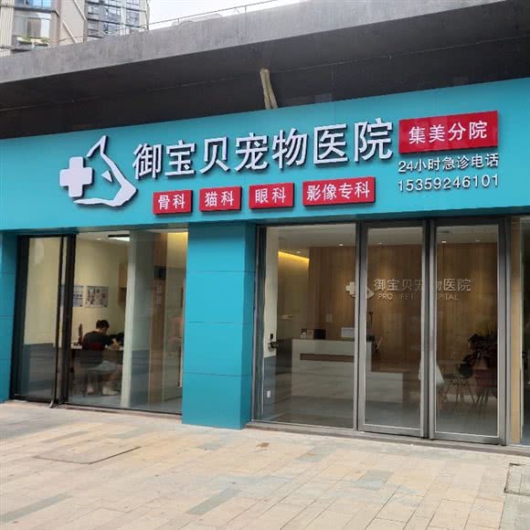御宝贝宠物医院(集美分院):厦门市集美区孙厝新华都附近
