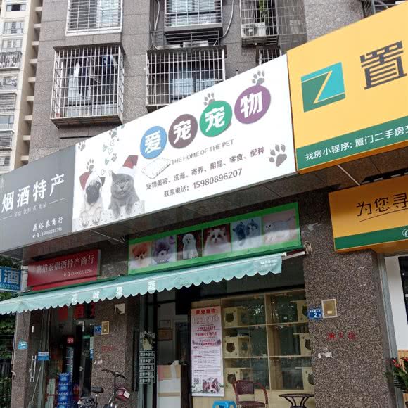 爱宠狗狗:厦门市集美区大学康城/杏林湾附近