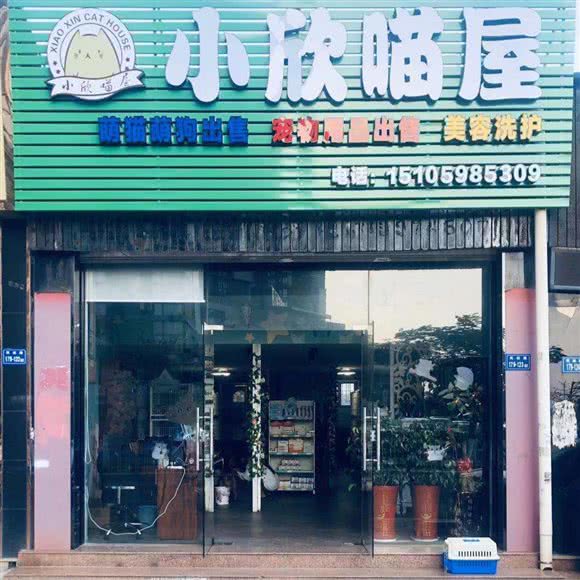 小欣喵屋:厦门市集美区灌口/凤泉广场附近