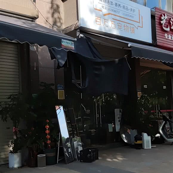 百万万宠物铺:厦门市集美区云城万科里/世茂广场附近