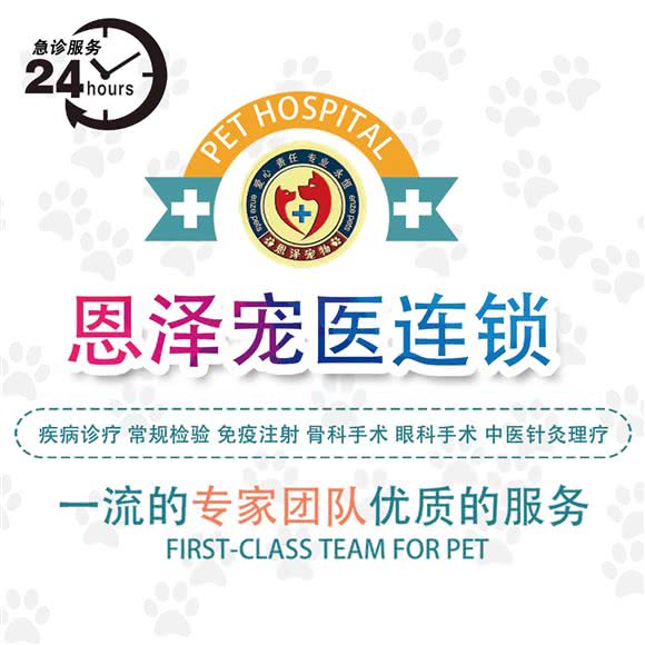 兴恩泽宠物诊所(杏林分院):厦门市集美区宁宝/杏东附近