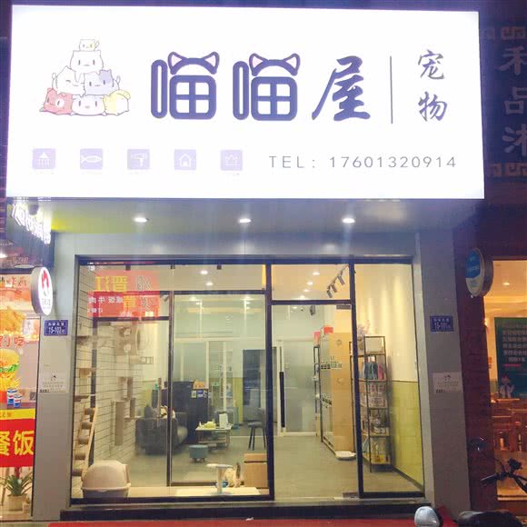 喵喵屋宠物:厦门市集美区孙厝/集大附近