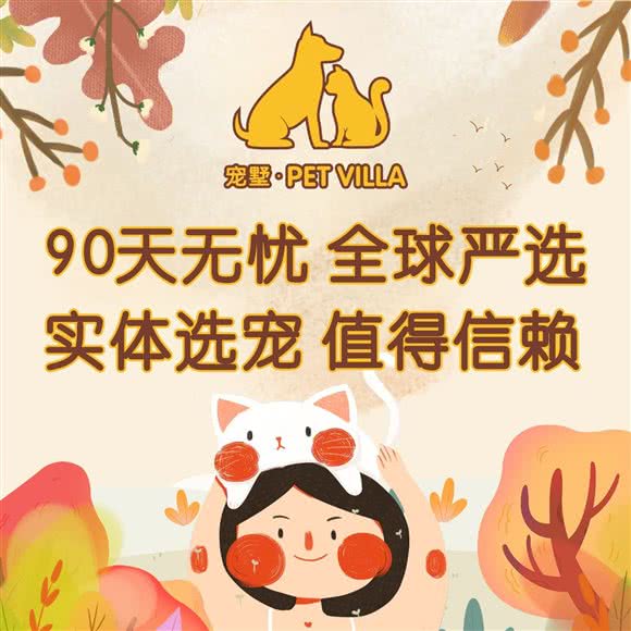 宠墅·同安宠物乐园(中央天悦店):厦门市同安区乐海城市广场附近