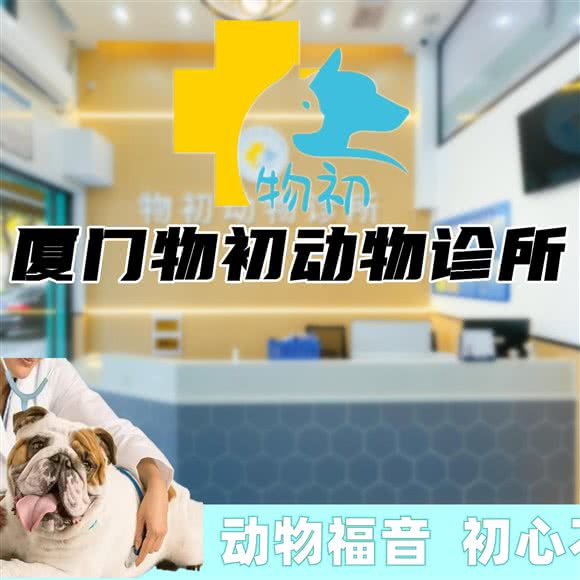 物初宠物医院·外科中心:厦门市同安区汽车站/城南附近