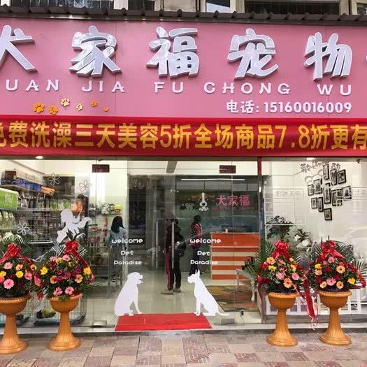 犬家福宠物(环城西路店):厦门市同安区城西/祥平街道附近