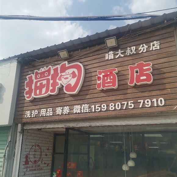 猫狗酒店(喵大叔分店):厦门市翔安区新店附近