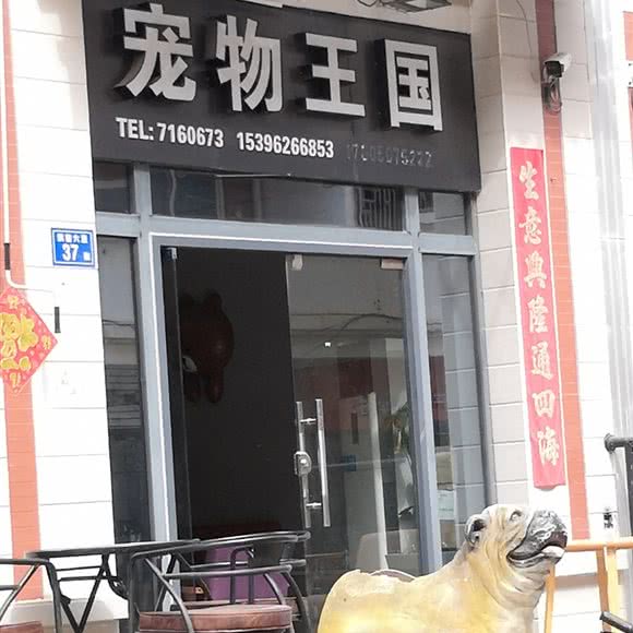 宠物王国(文教园店):厦门市翔安区新店附近