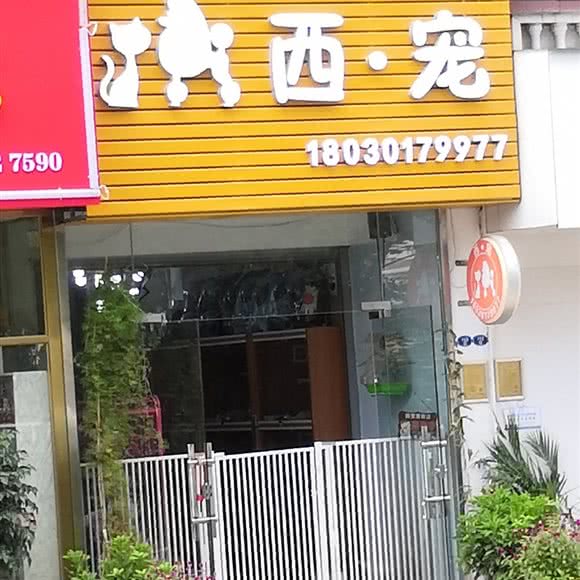 西·宠:厦门市翔安区新店附近