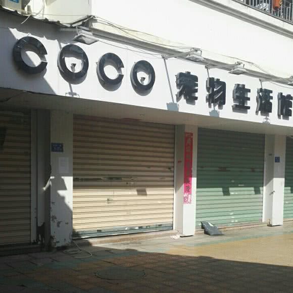 coco宠物生活馆:厦门市翔安区新店附近