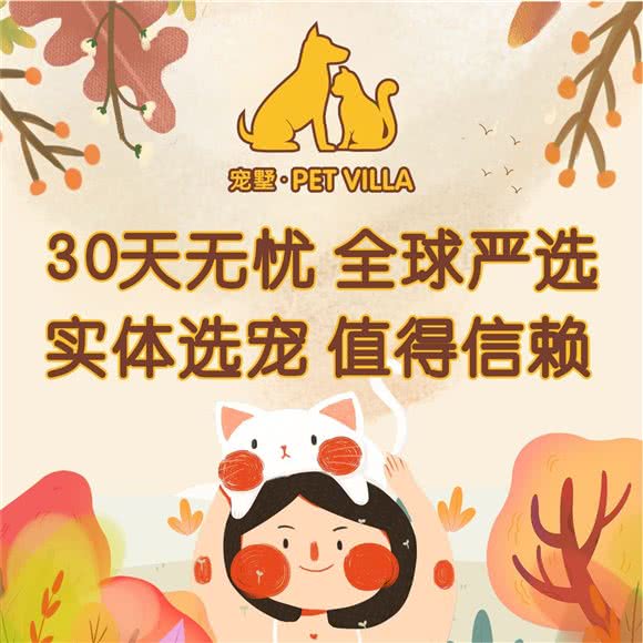 宠墅·翔安宠物乐园(雍华府店):厦门市翔安区汇景广场附近