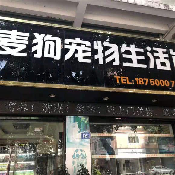 麦狗宠物生活馆:莆田市城厢区旧学生街/康复医院附近