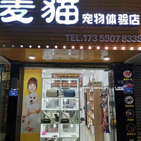 麦猫宠物狗体验店:莆田市城厢区莆田学院附近