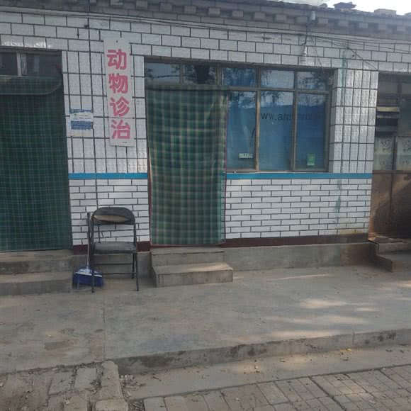动物诊治:北京城区大兴区庞各庄附近