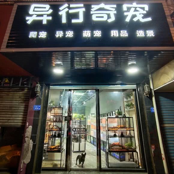 异行奇宠:莆田市城厢区三信电子城附近