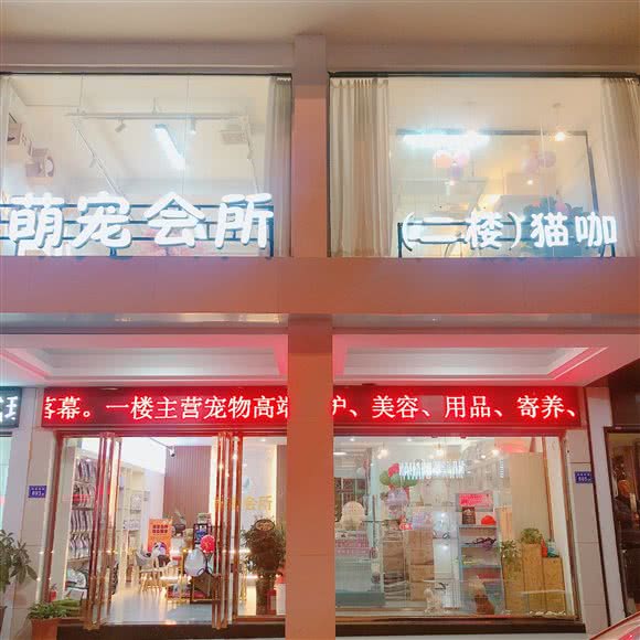萌宠会所?海岛猫咖:莆田市城厢区三信电子城附近