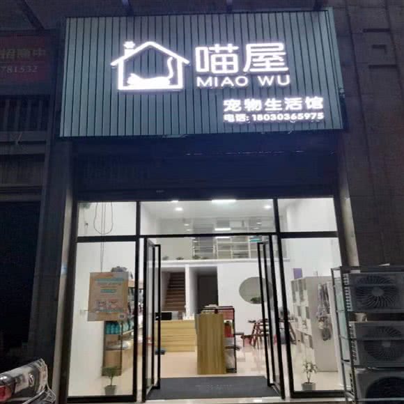喵屋宠物生活馆:莆田市涵江区涵江区中心城区附近